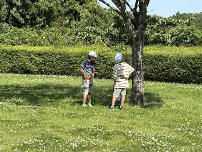 2025年6月5日（11_21）