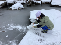 雪遊び (4)