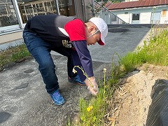 ひまわり R7_自立活動_七海　裕樹_花や野菜を育てよう_4