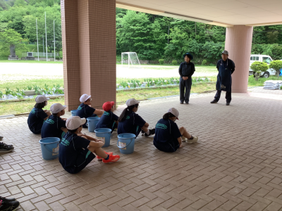 ５年１組_総合_矢部　隆広_バケツ稲_1