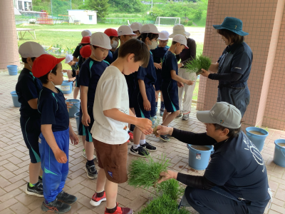 ５年１組_総合_矢部　隆広_バケツ稲_16