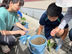 きゅうり大作戦 (7)