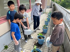 きゅうり大作戦 (8)