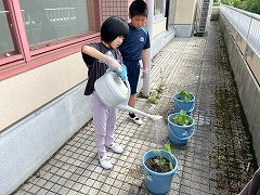 きゅうり大作戦 (10)