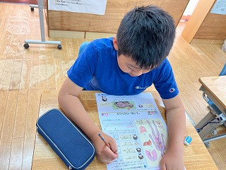 ひまわり R7_自立活動_七海　裕樹_2025年6月12日　授業の様子_8