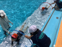 ２年１組_たいいく_高木　直子_2025年7月8日のノート (9)