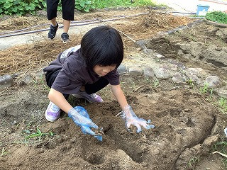 たんぽぽ・ひまわり合同_たんぽぽ・ひまわり_七海　裕樹_2025年8月26日のノート_4