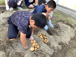 たんぽぽ・ひまわり合同_たんぽぽ・ひまわり_七海　裕樹_2025年8月26日のノート_2