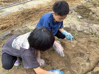 たんぽぽ・ひまわり合同_たんぽぽ・ひまわり_七海　裕樹_2025年8月26日のノート_7