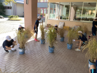 ５年１組_総合_矢部　隆広_2025年10月2日のノート_6